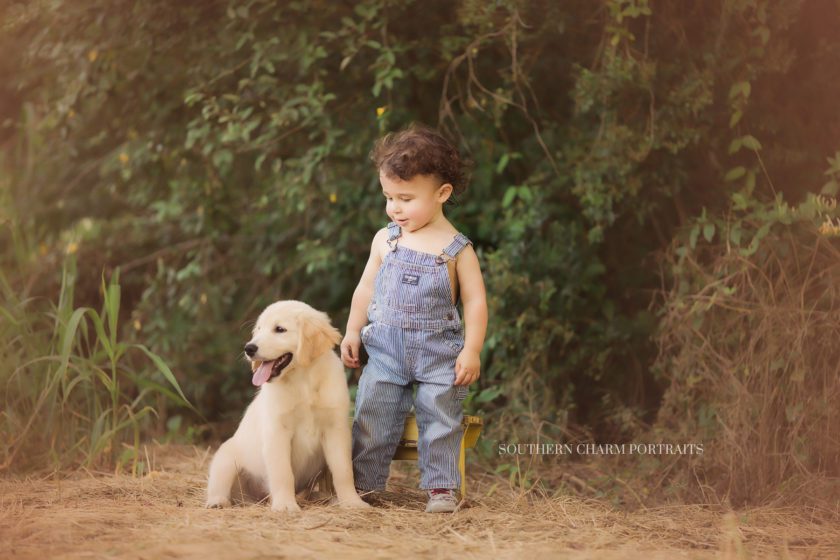 East Tennessee Baby Photographer 