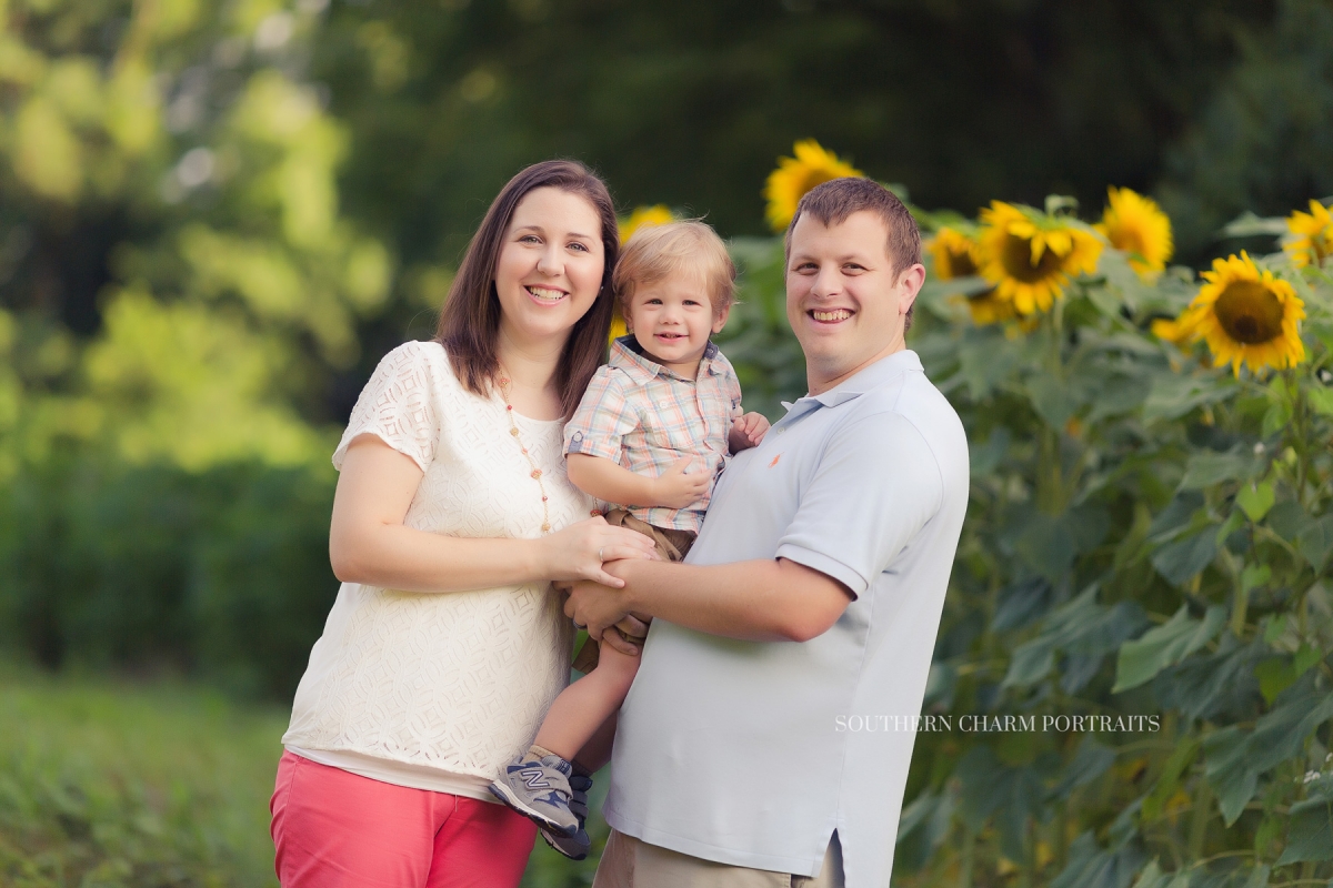 The Nippers Sunflower Mini- East Tennessee Family Photographer ...