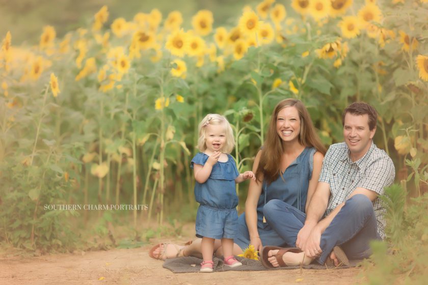 best family photographer in powell tn 