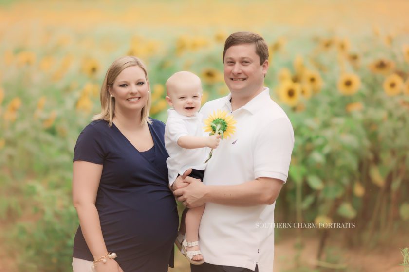 best family photographer in knoxville tn