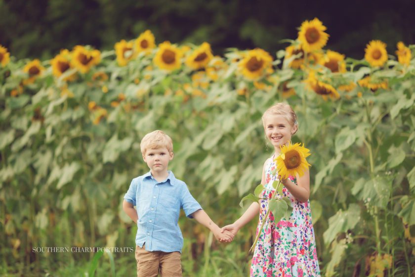 photographer for children in knoxville, tn 