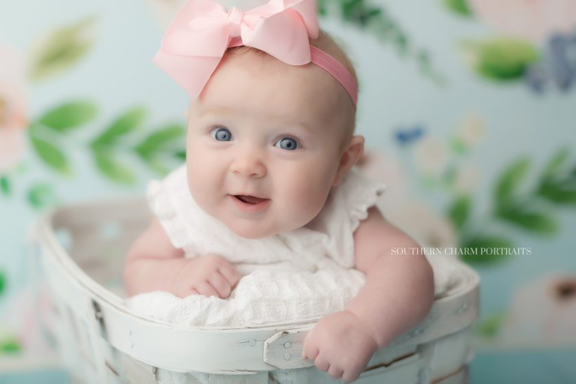 best baby photographer in knoxville tn 