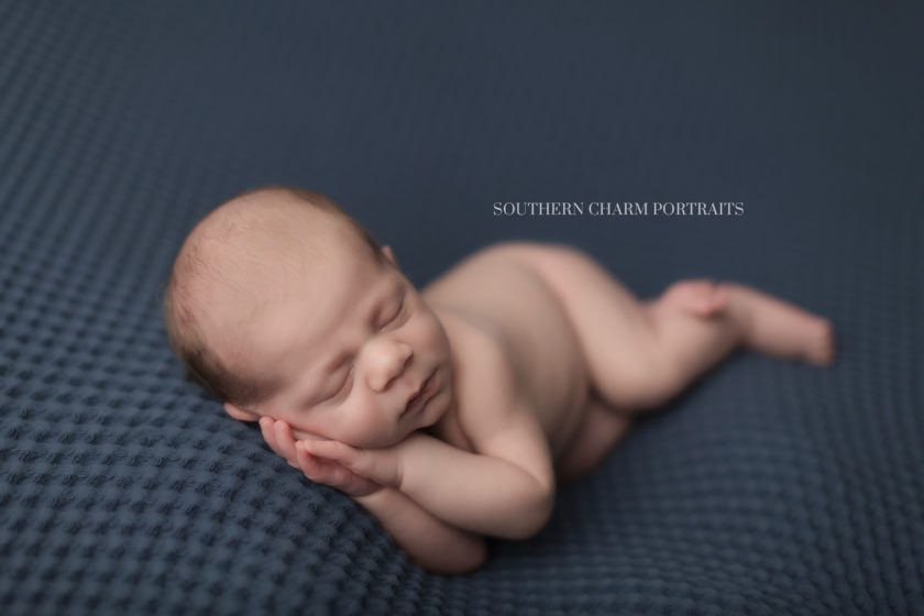 portrait studio for babies in knoxville, tn 