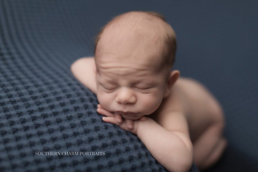 Knoxville newborns photographer 