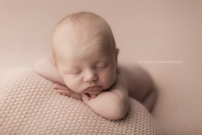 photography studio for newborn babies in knoxville, tn 
