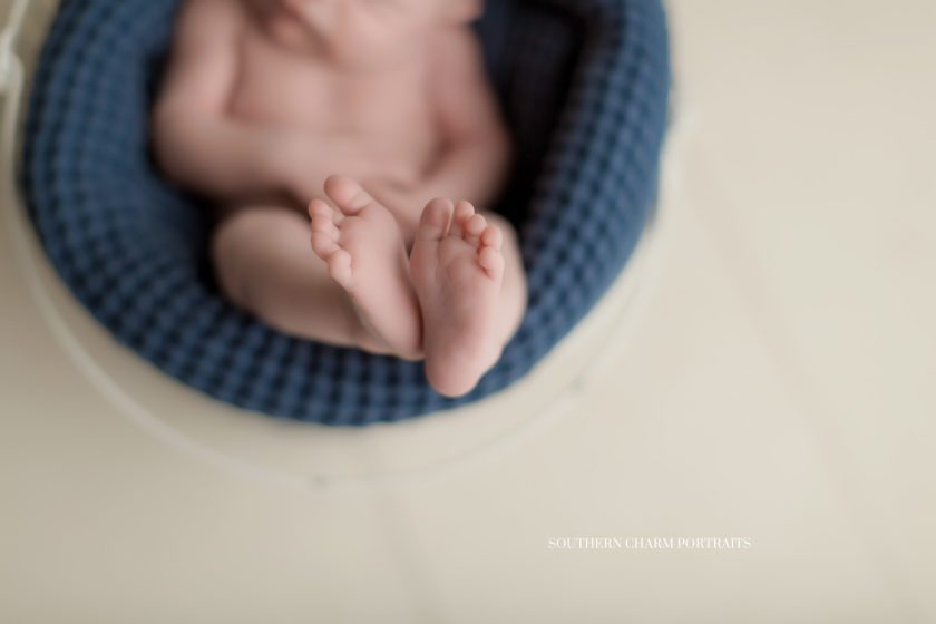 photographer for newborn babies in knoxville, tn 