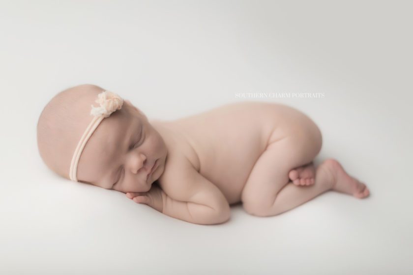 knoxville newborn photographer 