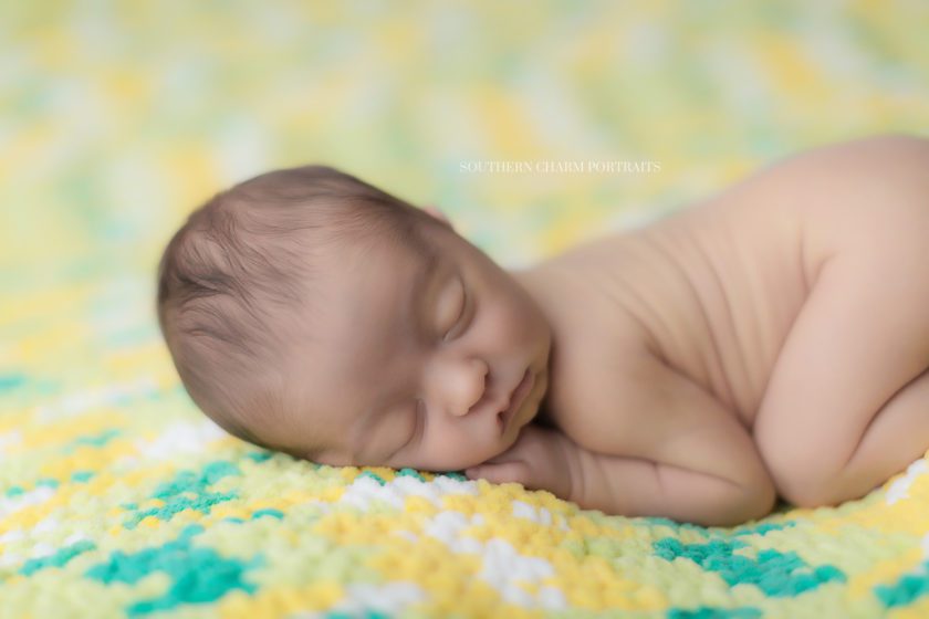 photographer in knoxville for newborn 