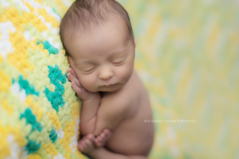 best newborn photographer in powell, tn 