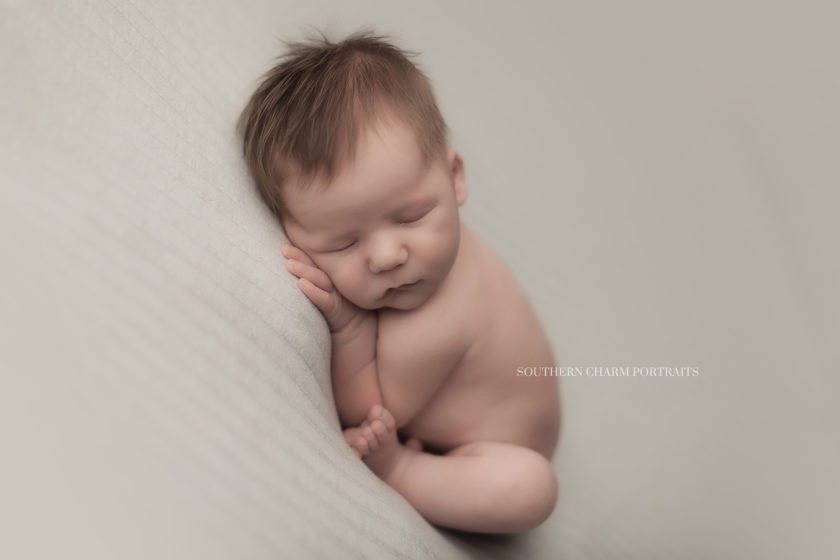 West Knoxville newborn photographer