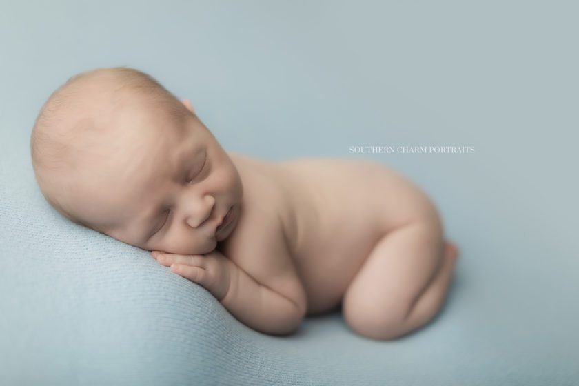photographer for newborn baby in knoxville 