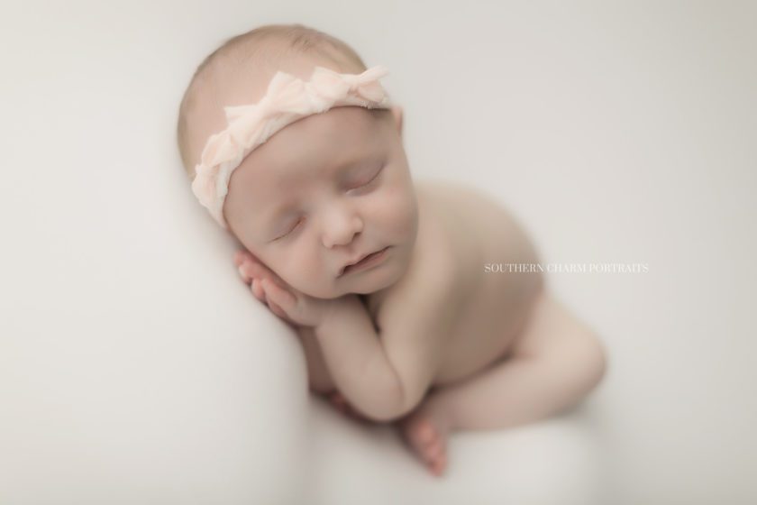 newborn photographer knoxville, tn 