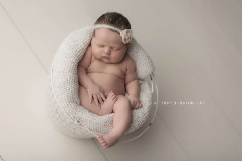 photography for newborns in east knoxville, tn 