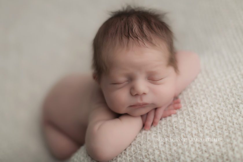 best newborn photographer in knoxville, tn