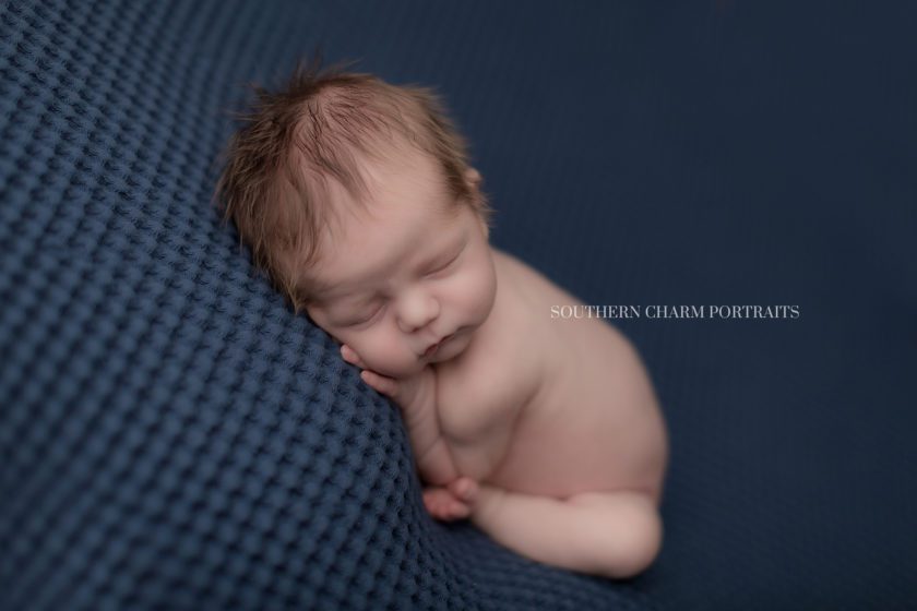 maryville newborn photographer 