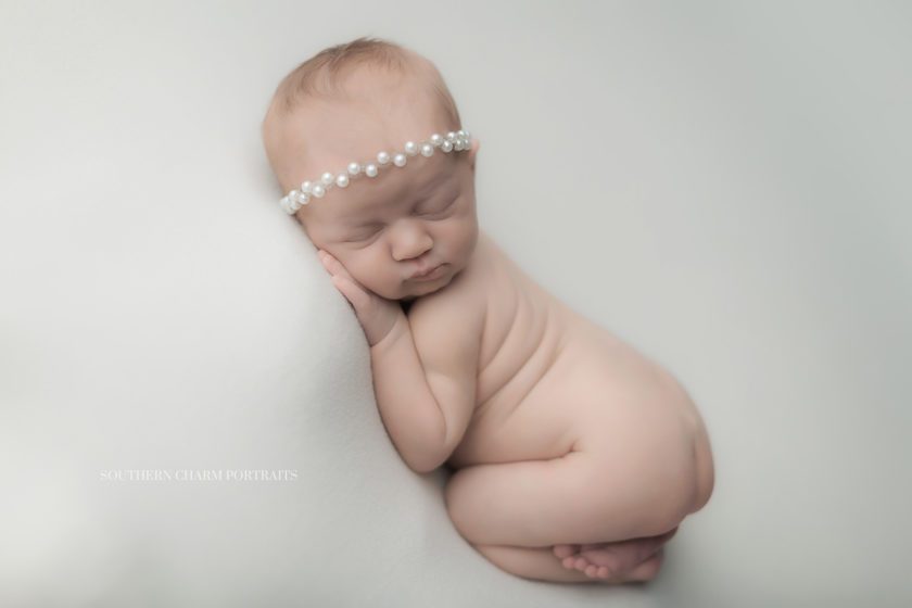 newborn photographer farragut, tn 