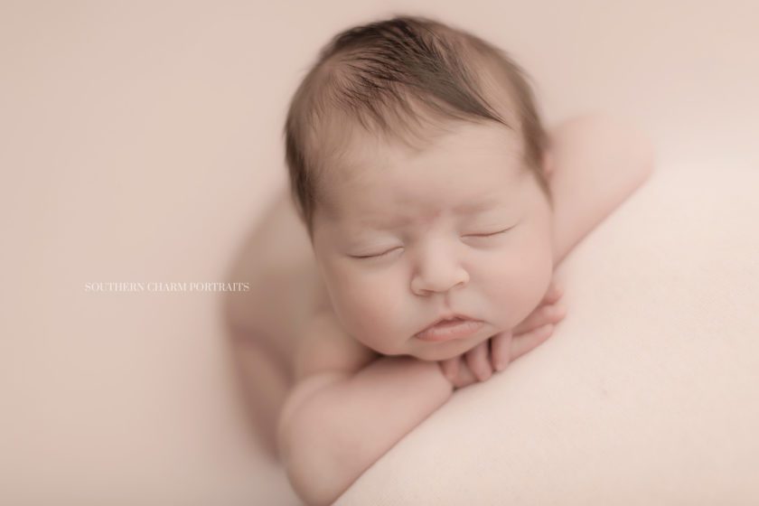 newborn portraits Jellico, TN 