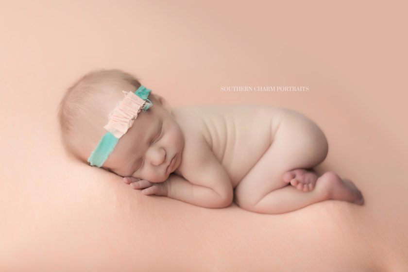 newborn baby portraits knoxville, tn 