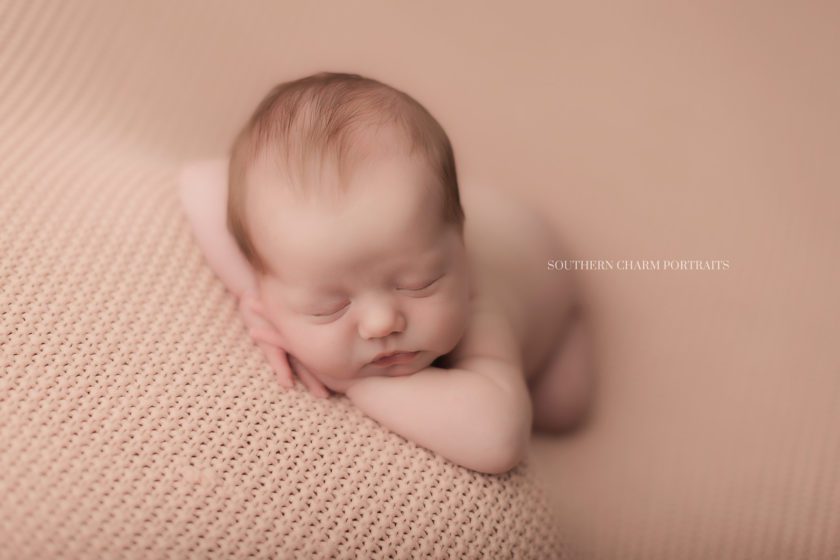 newborn photography in west knoxville, tn 