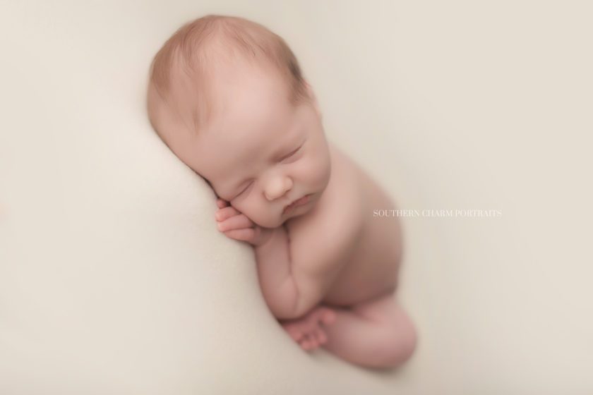 east tennessee photographer for newborns 