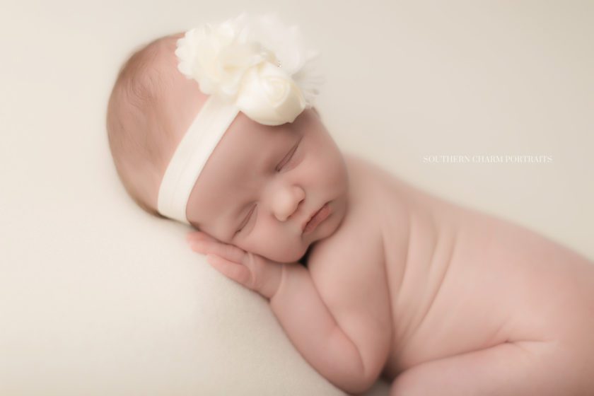 farragut newborn photographer 
