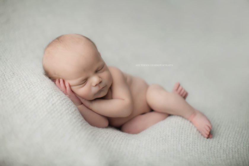 newborn photography in knoxville, tn 