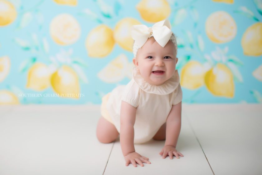 photographer for babies in west knoxville, tn 