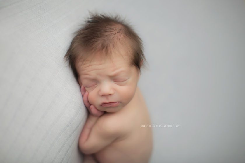 newborn photography studio callahan dr, knoxville 