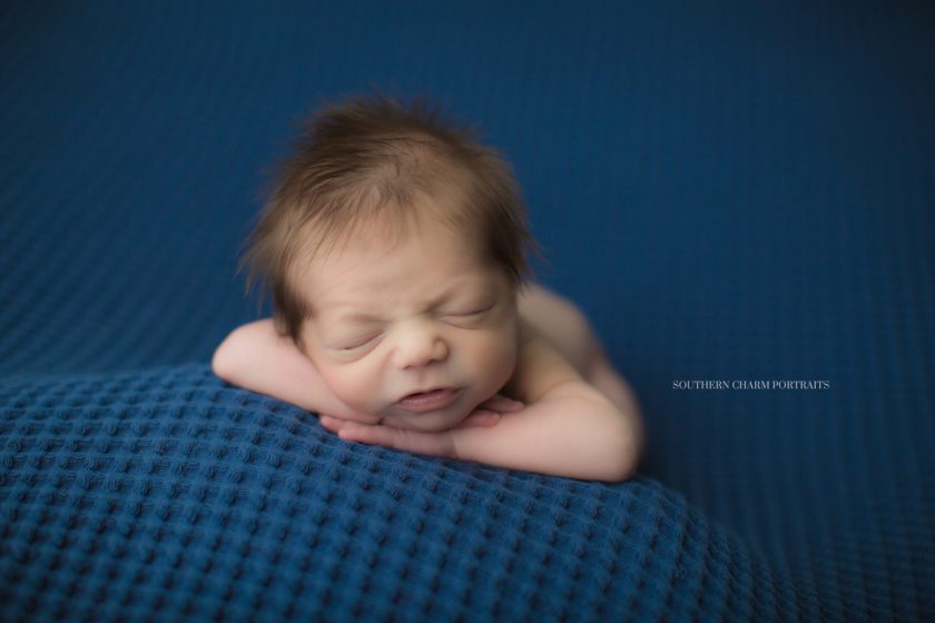 photography studio for newborns in east tennessee
