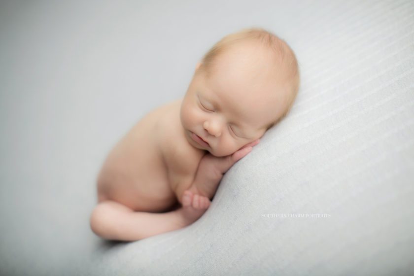 newborn photographer farragut tn 