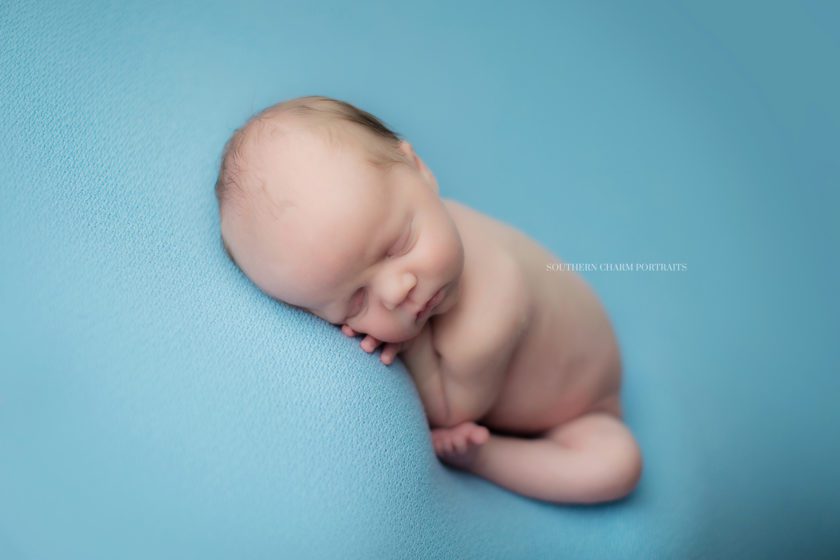 newborn baby photography knoxville tn 