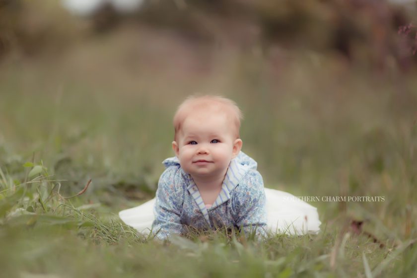 baby photographer in west knoxville, tn 