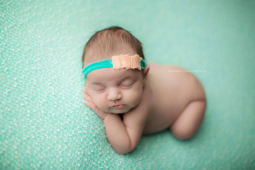 newborn portraits in east tennessee