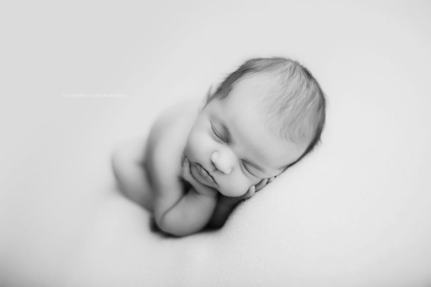 newborn photography in powell, tn 