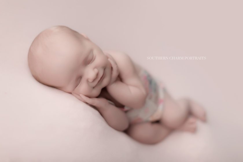 newborn photographer oneida tn 