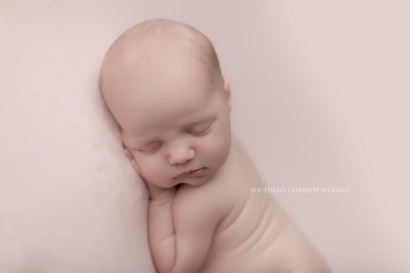 newborn photography farragut tn 
