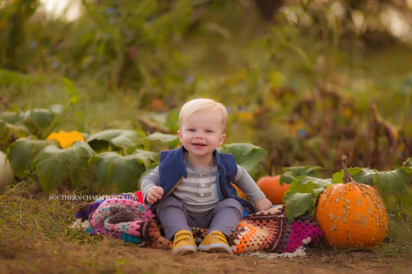child/baby photographer in west knoxville, tn 