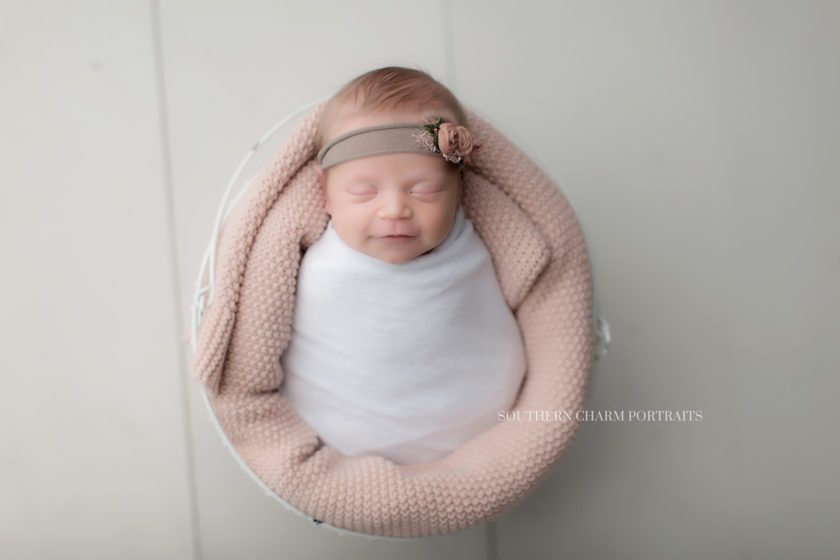 newborn baby photographer knoxville, tn 
