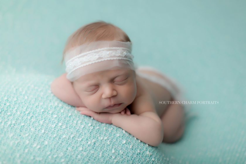 newborn photographer in knoxville, tn 
