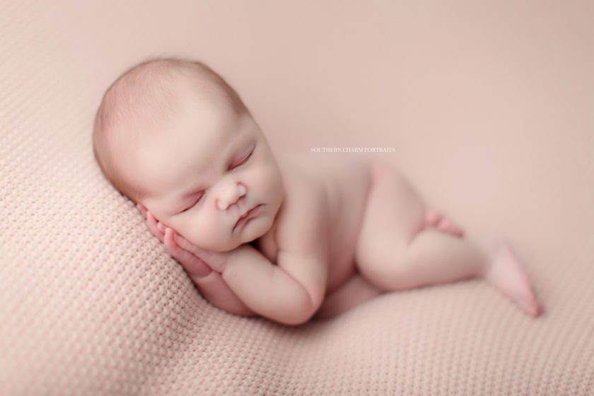 newborn photographer lafollette tn 