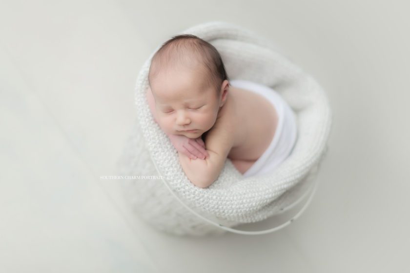 newborn photographer Knoxville, TN 