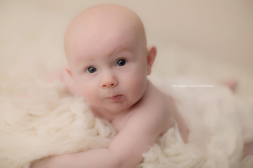 Baby Photographer Hardin valley, TN 
