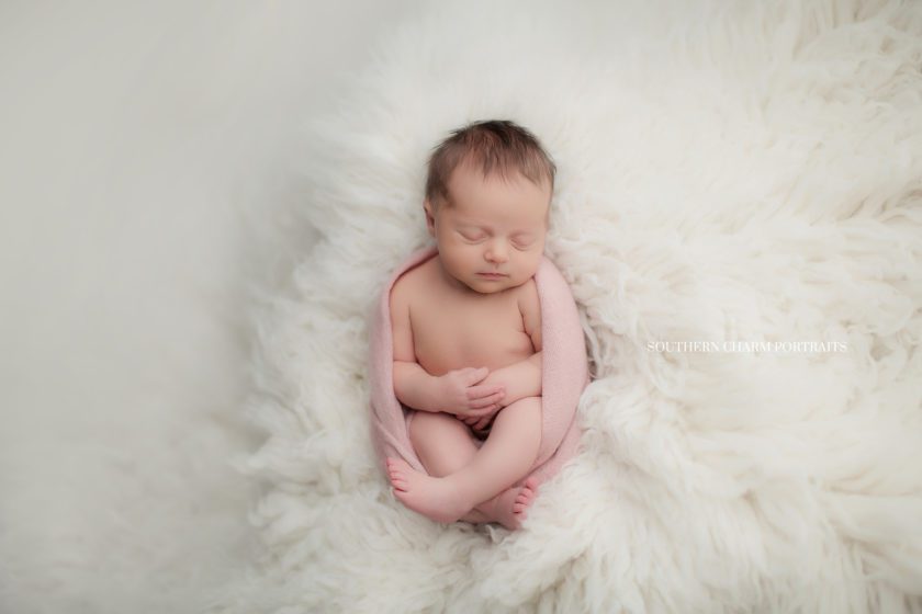 newborn photography maryville, tn 