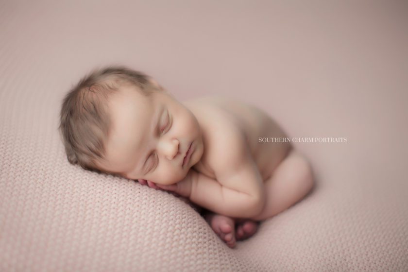 newborn photographer knoxville, tn 