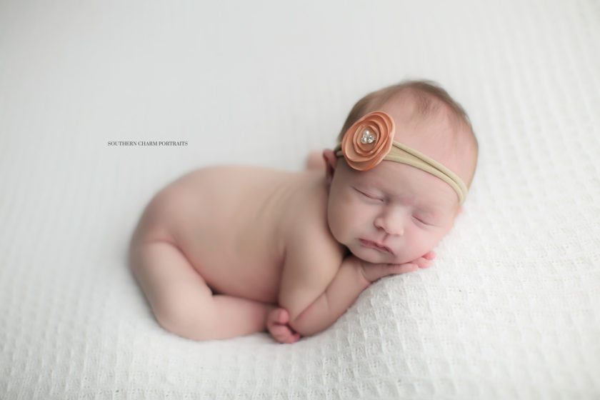newborn photographer east tennessee