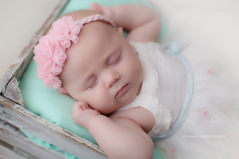 baby portraits in Powell, TN 