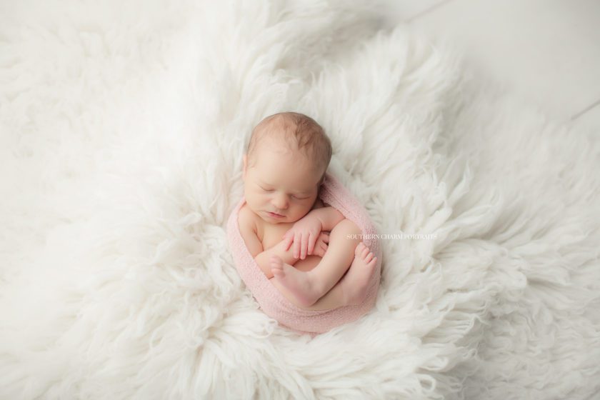 Oak Ridge photographer for newborns 