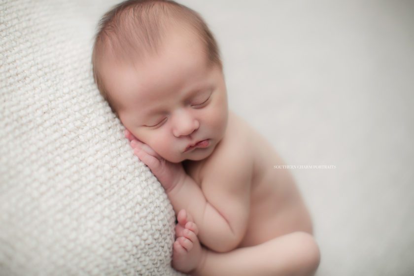 newborn photographer in Knoxville, tn 