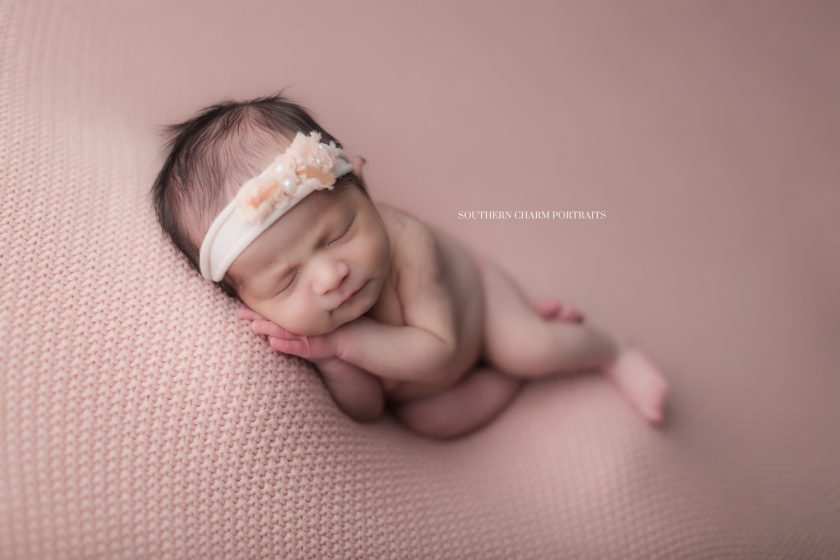 newborn photographer knoxville, TN 
