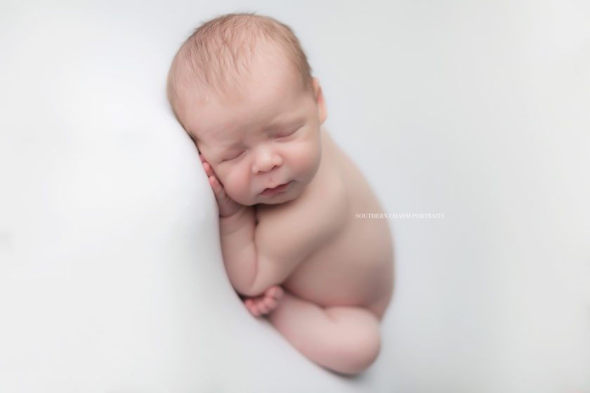 newborn portrait studio Oak Ridge 